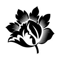 今天你考试了吗,大学考计算机二级有用吗