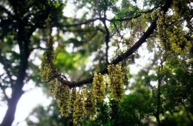 东莞下雨天一日游必去的景点,东莞清明有什么地方好玩的