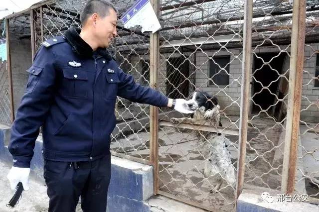 警察10秒勇擒逃犯,警察10秒钟擒获毒贩