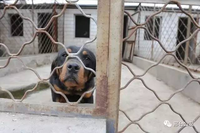 警察10秒勇擒逃犯,警察10秒钟擒获毒贩