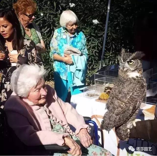 美国109岁老奶奶,109岁奶奶美国