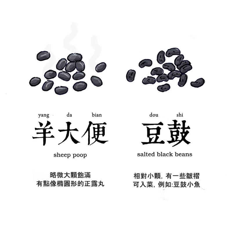 采访papi酱,papi酱专访