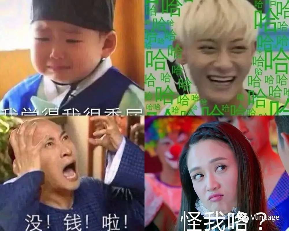 以营利为目的表情包可以侵权吗,为娱乐而生