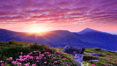 浙江台州斯迈夫,中国地级市浙江省台州