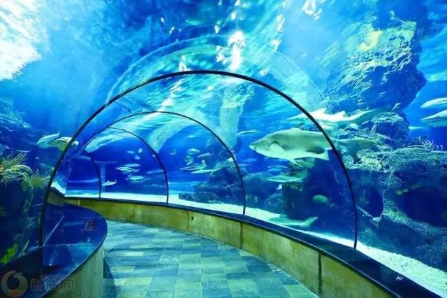 上海奉贤一日游最佳景点一览表,上海宝山区最值得去的五个景点