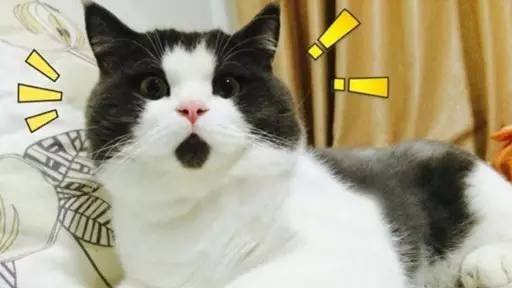 彩票中两个红色球算中奖吗,中双色球彩票的几率有多大