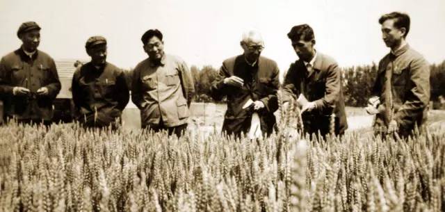 青岛农大近期新闻,青岛农大好吗