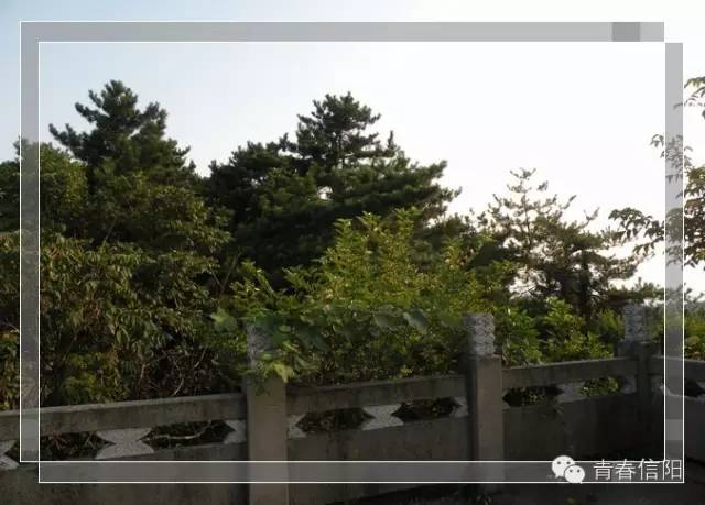 信阳周边两天一夜旅游推荐,五一信阳周边游玩攻略两天一晚