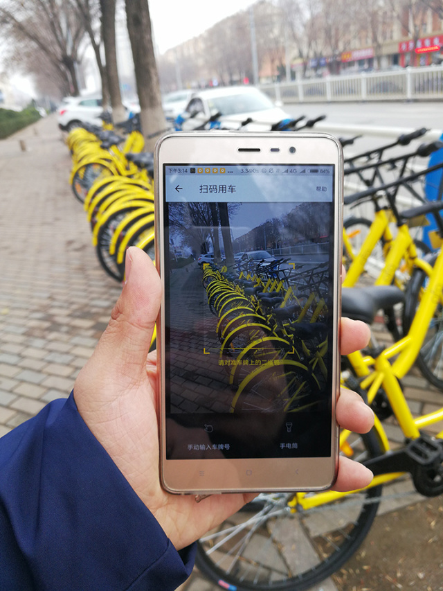 青岛农大现在情况,青岛农大放开了吗