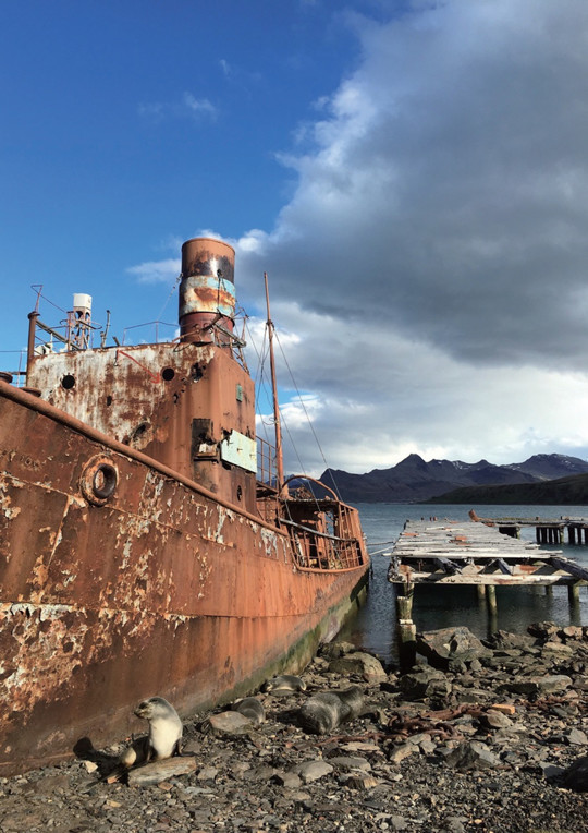 真正的南极风景,去南极可以看到什么风景