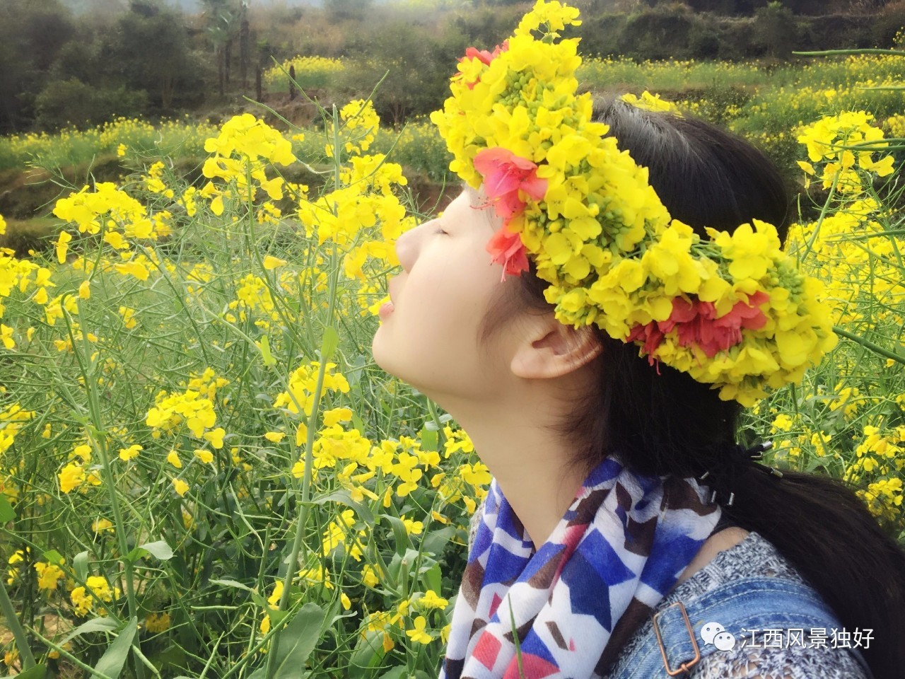 婺源旅游攻略300块钱,自驾游婺源两天旅游攻略及费用