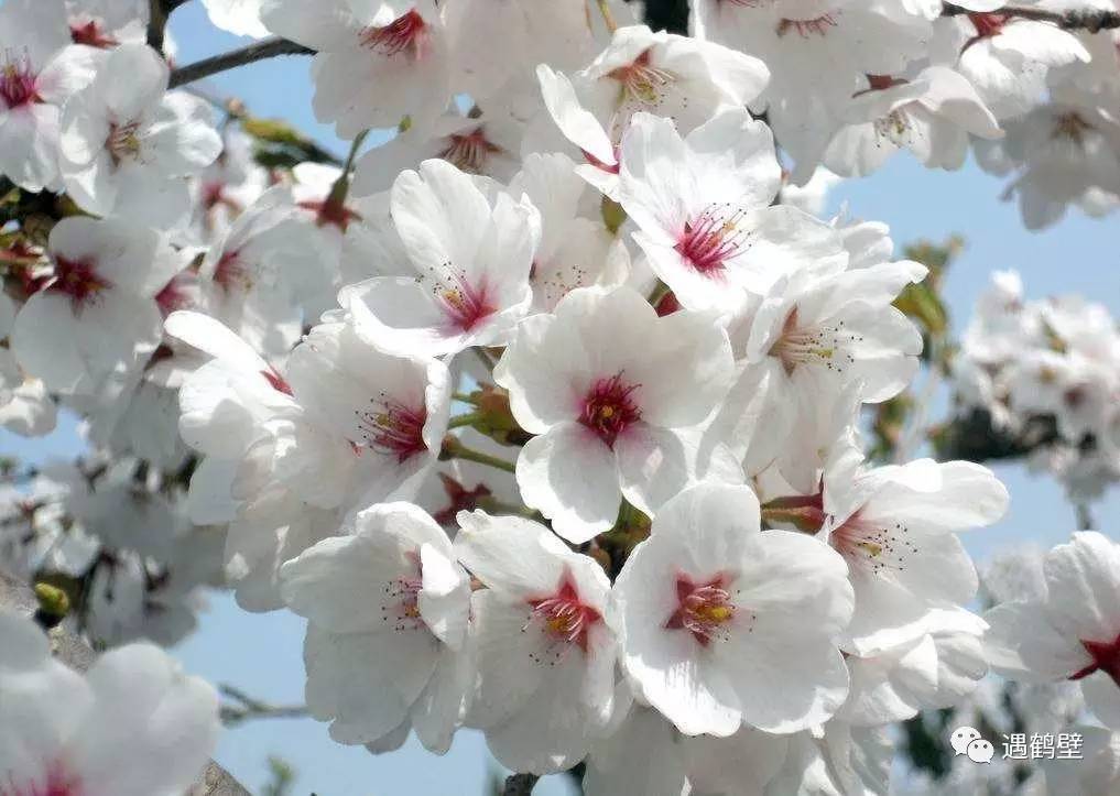 寻找紧急扩散人员名单,紧急寻找紧急扩散