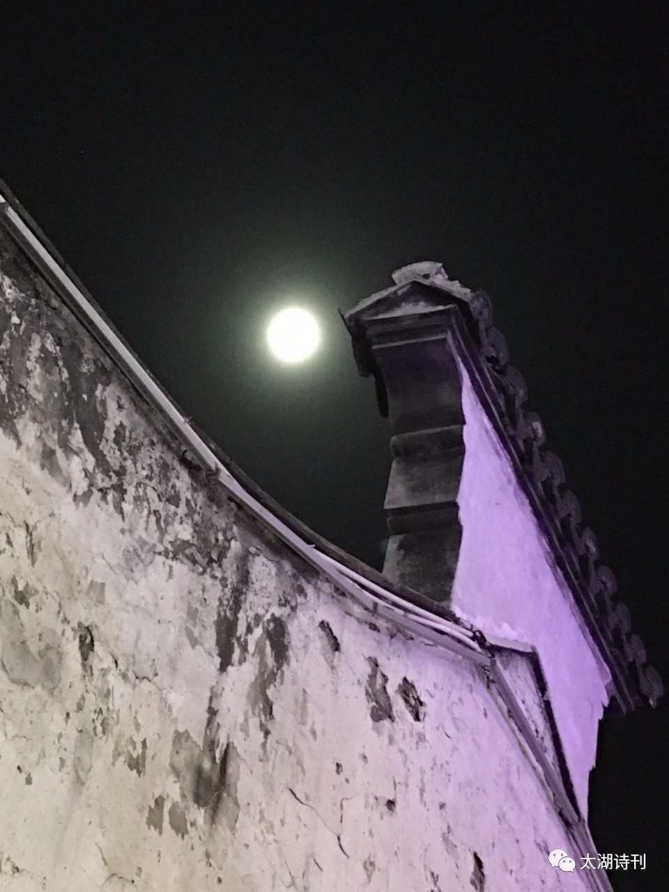 这场爱情没结果,这场爱究竟错在了何处小说