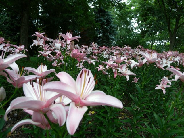 私北海道（完附名古屋小记）,4