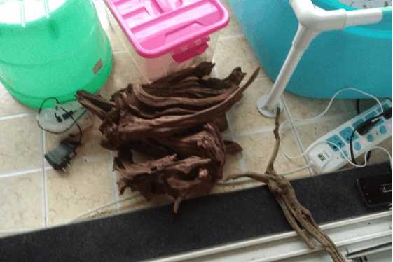 一个三米的鱼池需要多钱,一个观赏鱼池大概多少钱