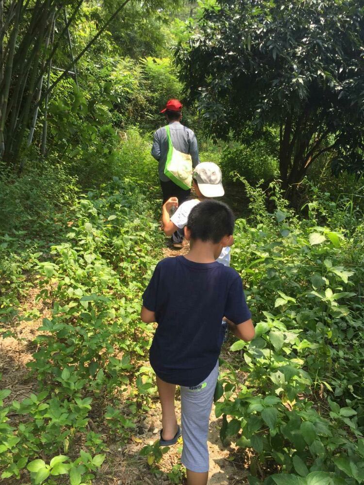 到中山的千年古刹古香林寺旧址周边山林探秘，感觉大自然太美啦