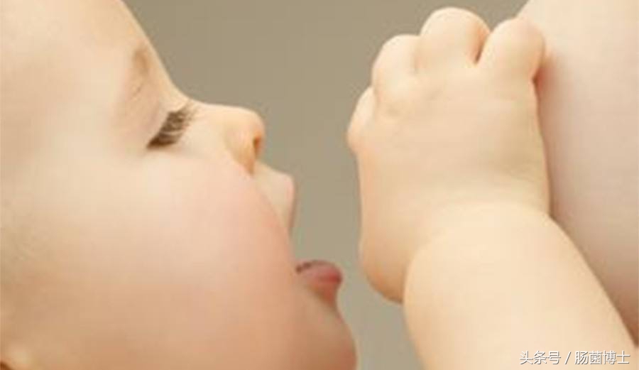 母乳放置久产生什么细菌,母乳显微镜下的细菌