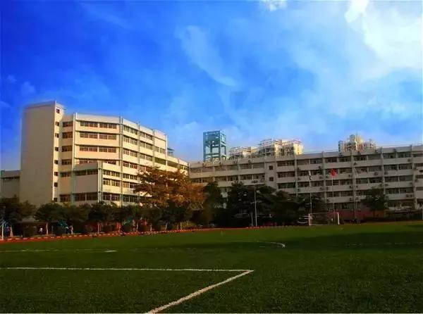 公办学校学位那么紧张！深圳最好的29所民办中小学都在这里！