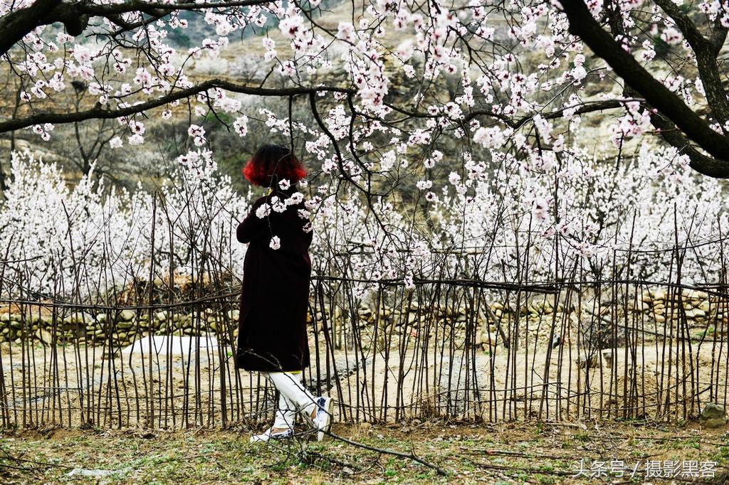 濞佹捣涔冲北妯辨,灞变笢涔冲北妯辨