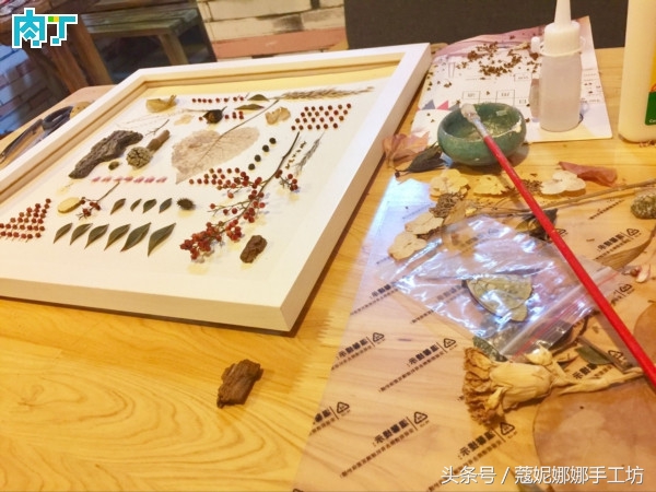 手工制作植物标本,手工标本制作植物花