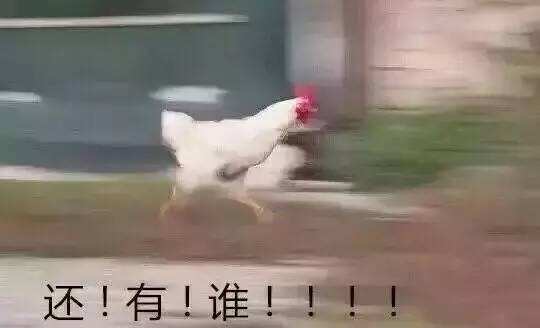 石长线货运列车时刻表,石长动车最新消息