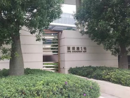 王石许家印完整视频,恒大许家印王石