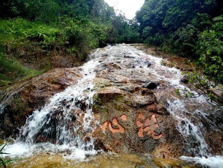 到中山的千年古刹古香林寺旧址周边山林探秘，感觉大自然太美啦
