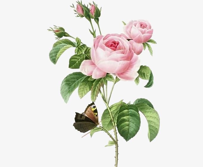 生肖蛇苦尽甘来财帛如雨富甲一方,生肖蛇未来10天喜事成双好运盈门