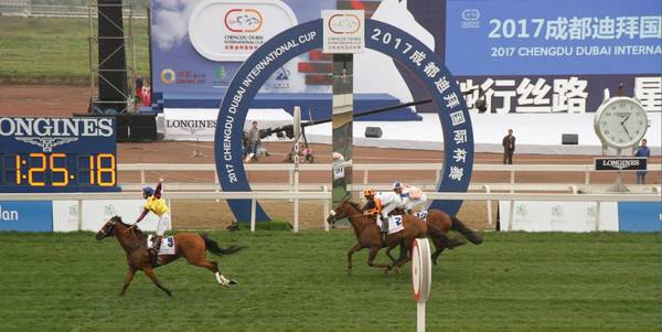 成都费尔顿凯莱大酒店顺利完成2017成都迪拜国际杯赛