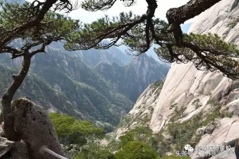 一品黄山天高云淡取景地是哪,天高云淡一品黄山广告原视频