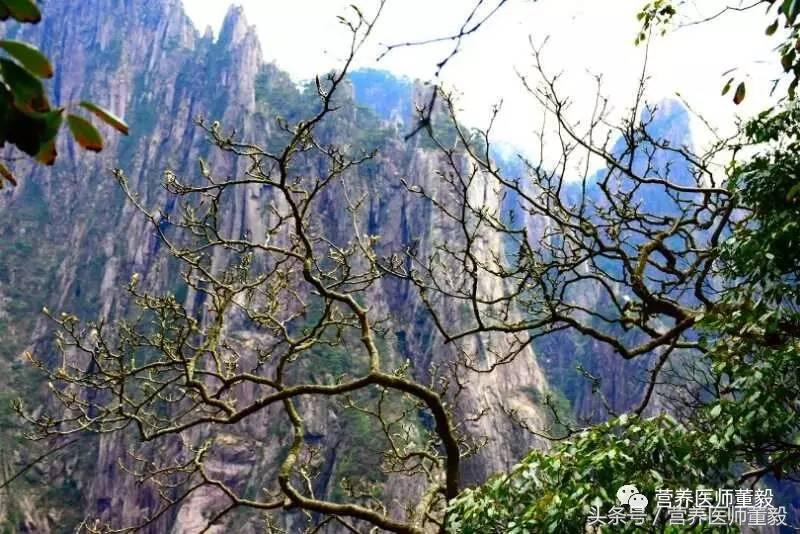 一品黄山天高云淡取景地是哪,天高云淡一品黄山广告原视频