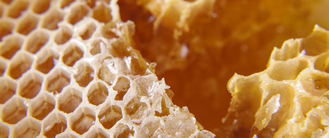 蜂胶是补药吗,蜂胶是保健品能治病吗