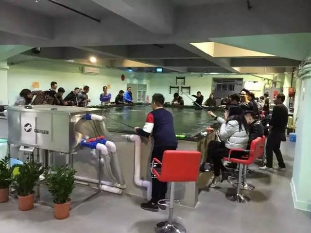 鱼缸过滤器十大品牌排行榜,室外鱼池过滤器十大品牌排行榜