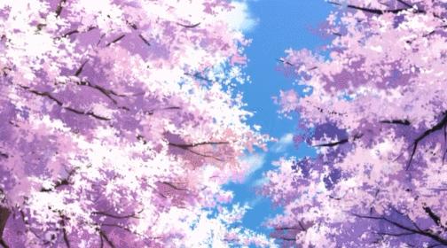 柯南樱花班的回忆超燃剪辑,柯南不能错过的特别篇