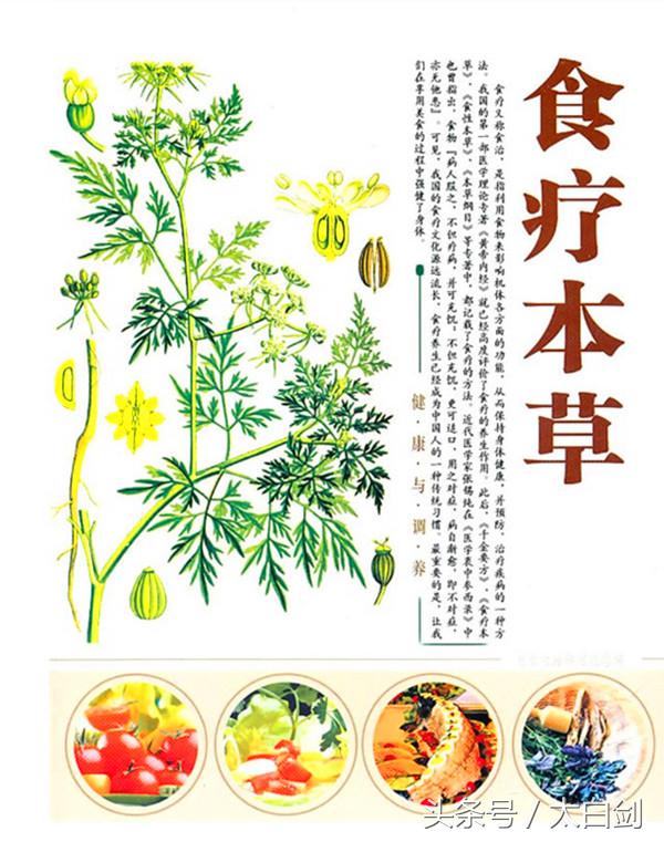 古代野菜美食,古人经常吃的野菜