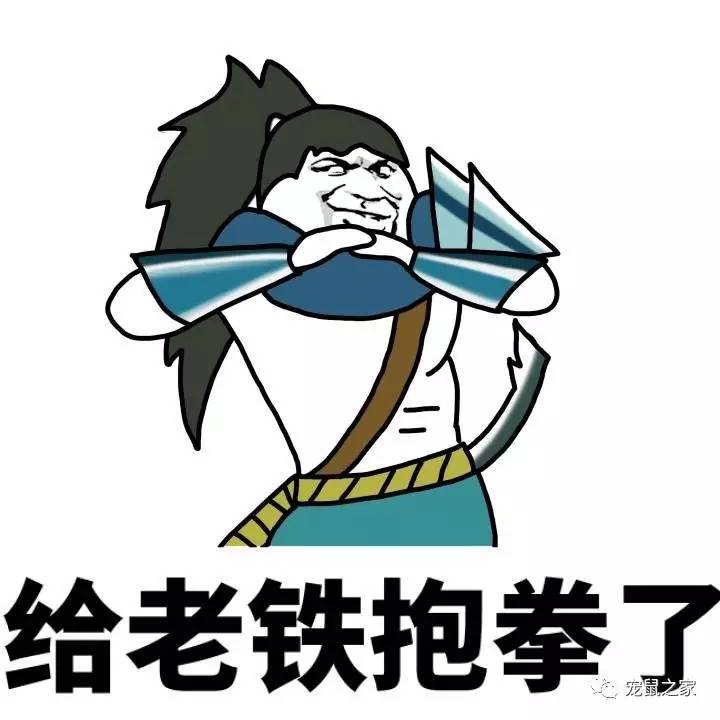 鸡不撒尿为什么喝水没事,天竺鼠几乎不喝水