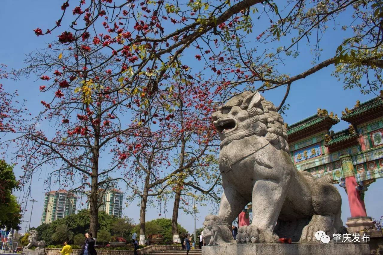 春暖花开正是踏青赏花的好时节,肇庆春日赏花的地方图片