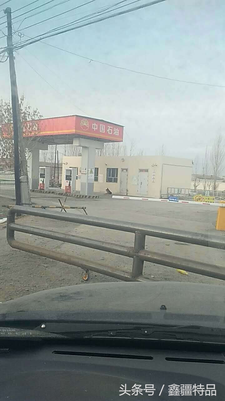 金丝玉宝石光在哪捡,捡金丝玉海蓝宝石的地方