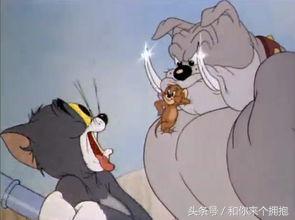 国产动画片90后的回忆,盘点00后小时候看过的动画