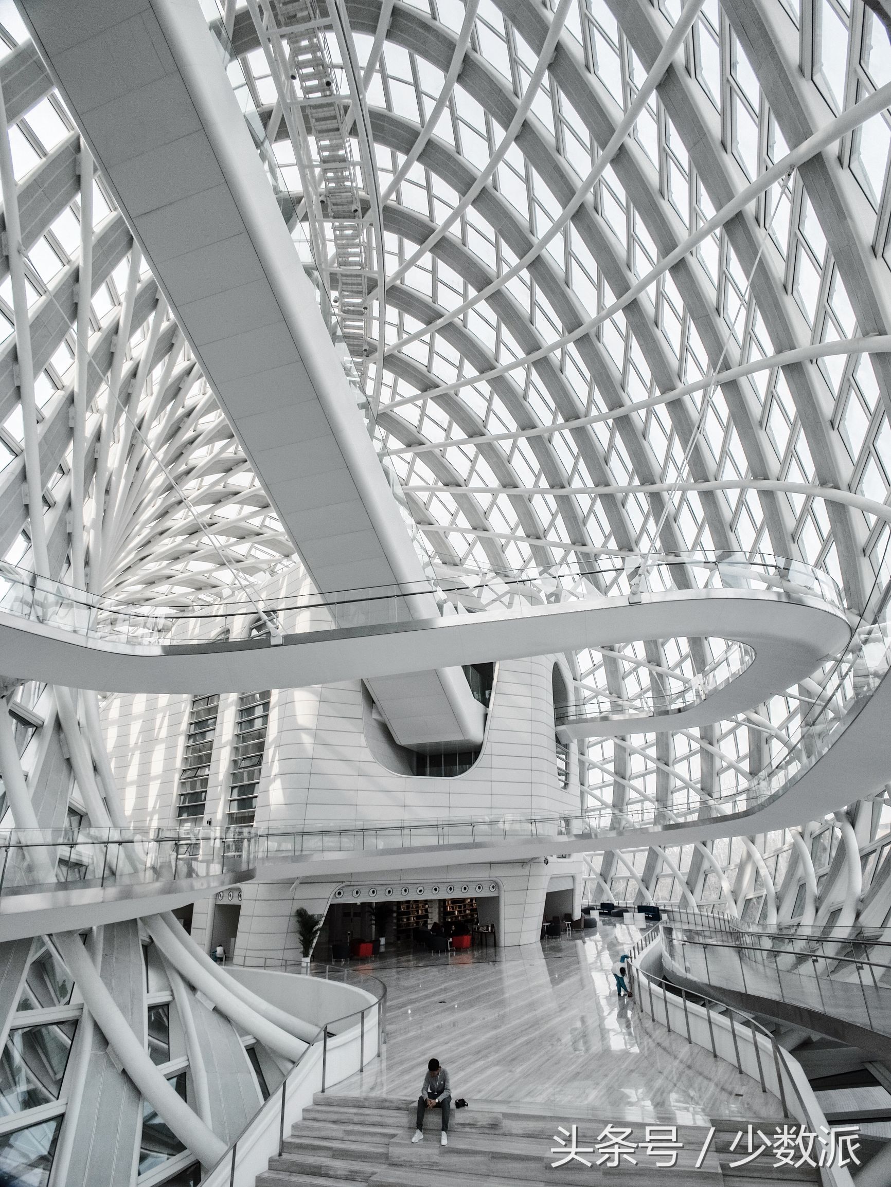 iphone拍照完全指南,用iphone拍照