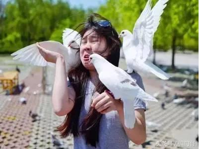 微信群迅速增粉,微信群引粉的正确方法