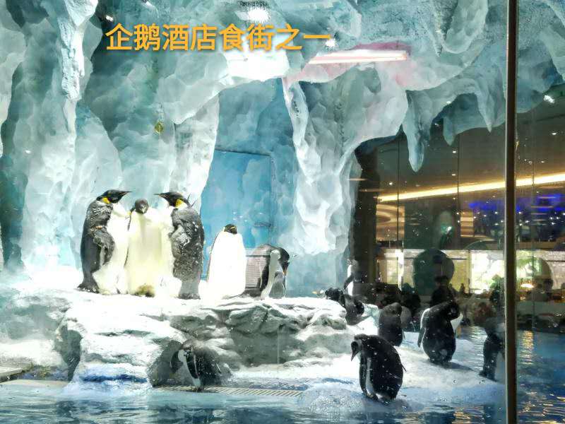 珠海长隆亲子游省钱攻略,珠海长隆亲子游攻略时间表