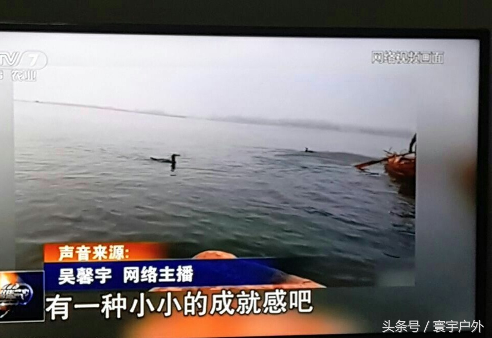 靠着千年传承的鸬鹚捕鱼，他们登上了央视的大屏幕！（附视频）