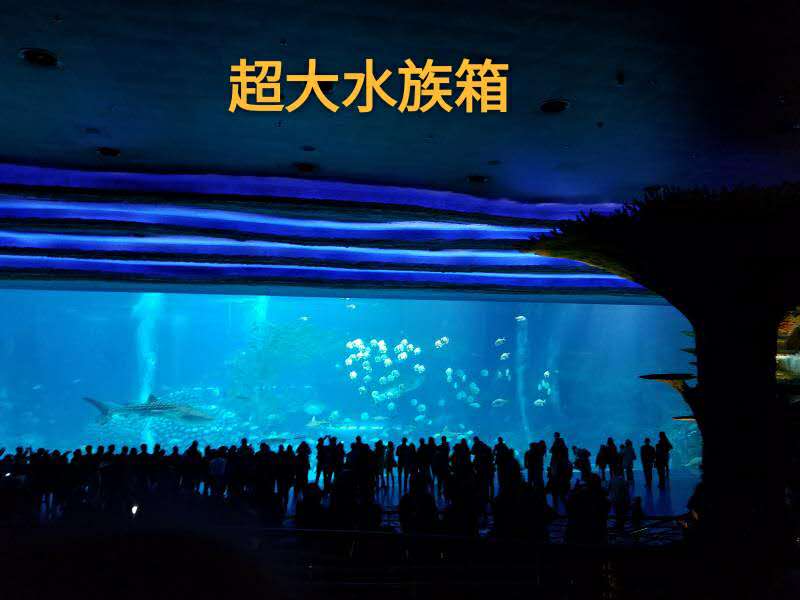 珠海长隆亲子游省钱攻略,珠海长隆亲子游攻略时间表