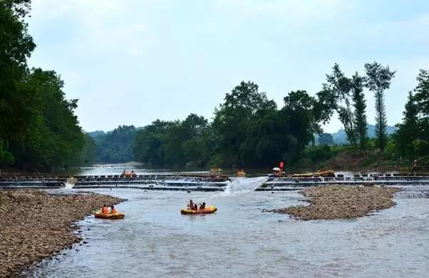 成都附近一小时氧吧,成都周边森林免费氧吧推荐