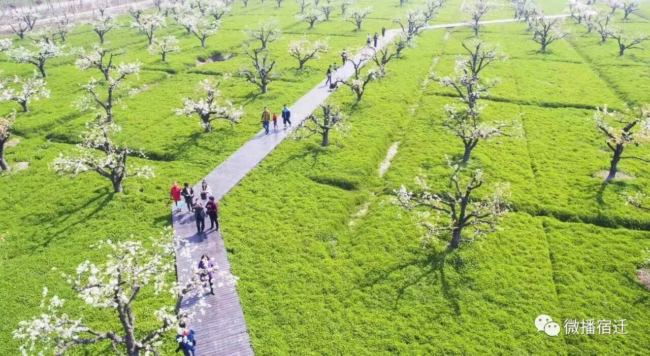 宿迁在宿迁人眼中,宿迁到底有多好