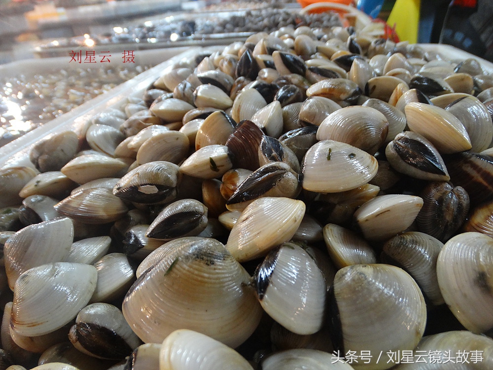 来三亚旅游想吃带壳的海鲜，不当冤大头，要有智慧善挑选和会安排
