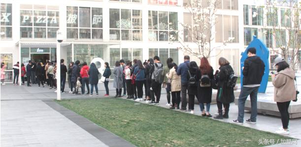 比奶茶还好喝的喜茶,喜茶奶茶加盟费及加盟条件怎么样