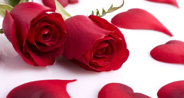 测试选香水,约会香水推荐怎么选