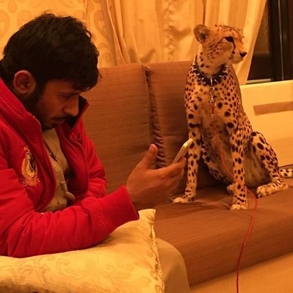 顶级豪车豪宅,豪宅豪车那么有吸引力吗